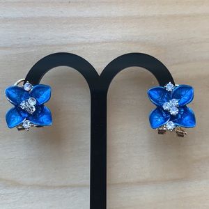Beautiful blue earrings